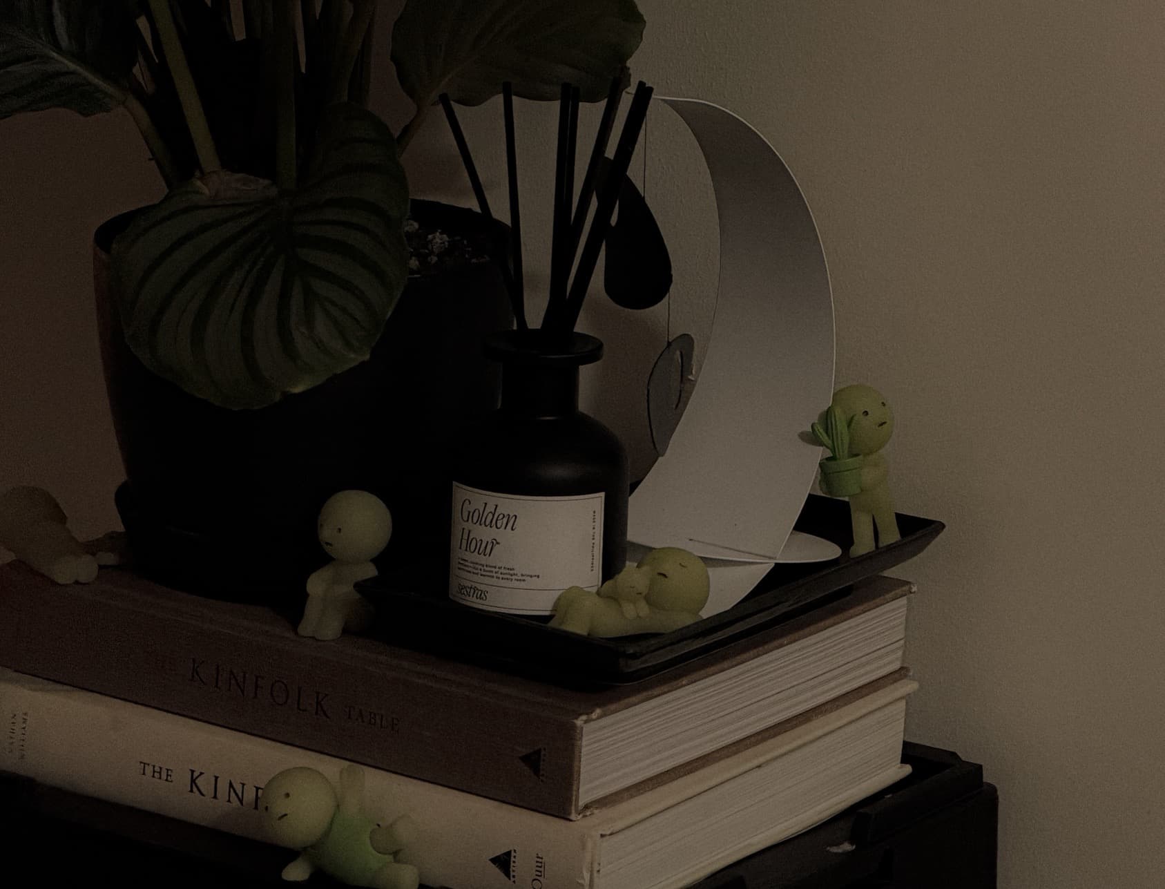Reed Diffuser Lifestyle